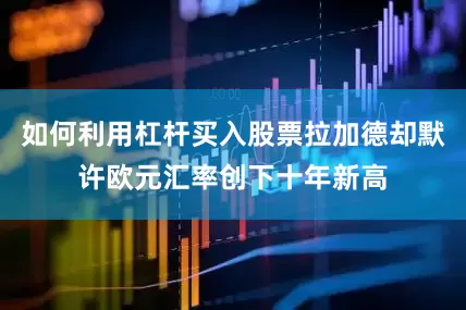如何利用杠杆买入股票拉加德却默许欧元汇率创下十年新高